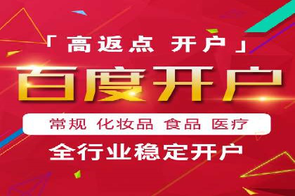 百度SEO推广公司成功案例：助力企业实现流量暴增